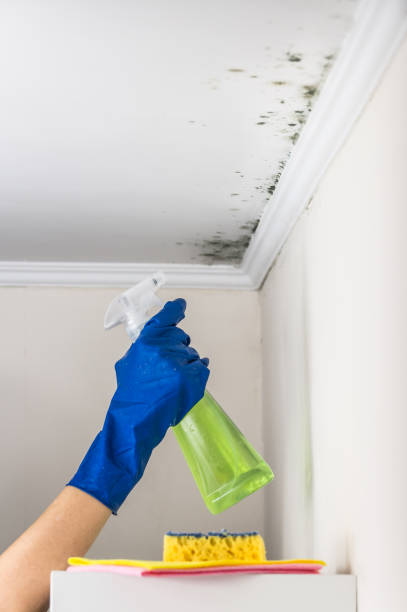 Best Residential Mold Remediation in Gold Key Lake, PA